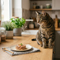 Indoor Cat Chicken & Pea Formula