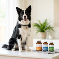 Natural Beeswax Paw Balm